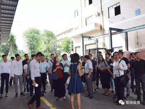 鉅派投資集團 深耕財富管理，賦能資產配置的專業力量